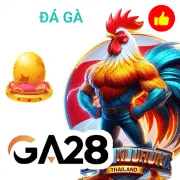 pp881 Game 08